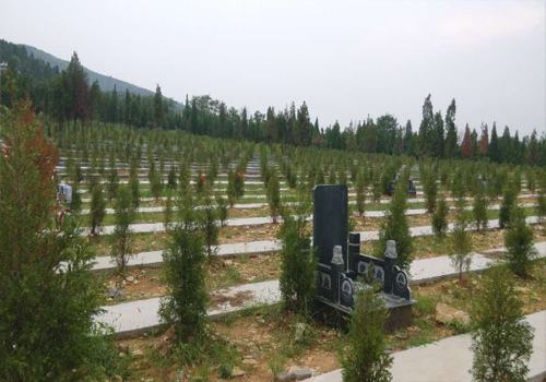 2015年12月25日山东枣庄袁寨山公墓成功加入91搜墓网