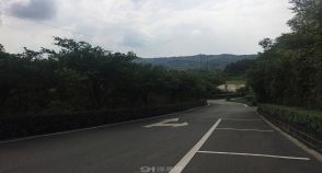 陵园风景图-13