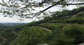 陵园风景图-6