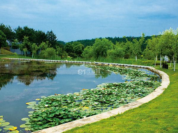 湖北武汉长乐园陵园,一座倡导原生态,园林式的现代陵园