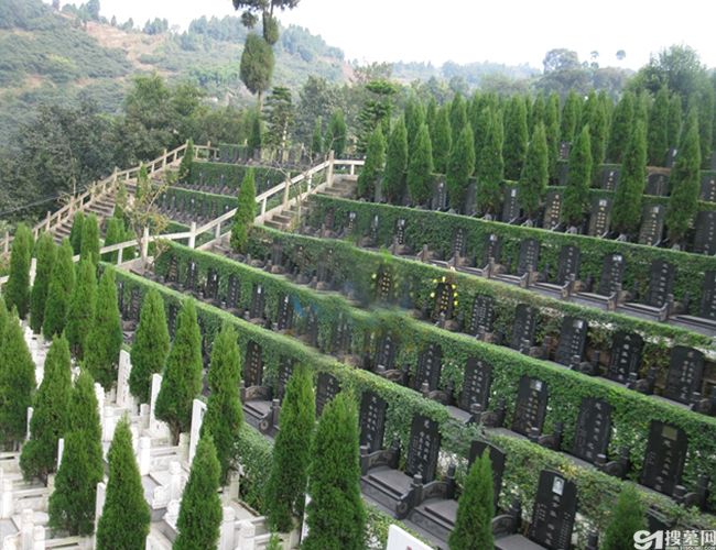 集园林化,艺术化,现代化为一体的低价位公墓-龙泉公墓